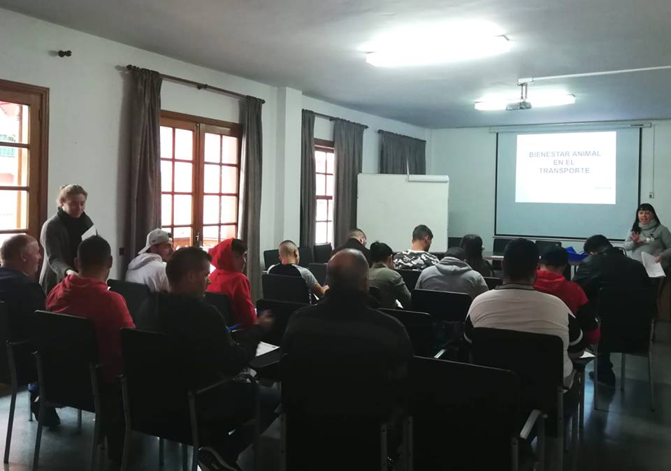 Los Realejos forma a 17 personas para la obtención del título de bienestar animal en el transporte