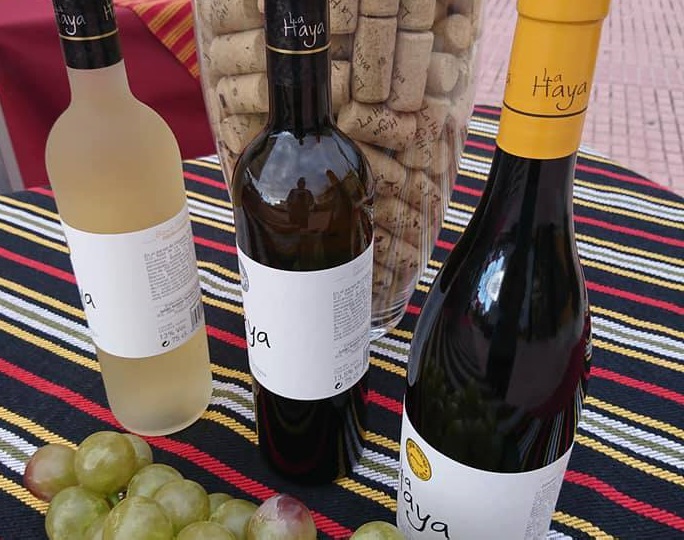 Los Realejos celebrará este martes ‘Vinos de cordón’ con un nuevo homenaje gastronómico y musical