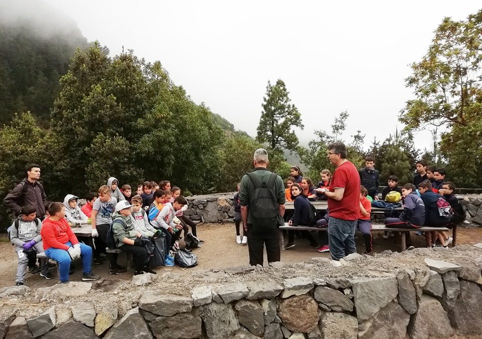 La infancia realejera lleva a cabo acciones de carácter medioambiental contenidas en el II Plan Municipal de la Infancia.