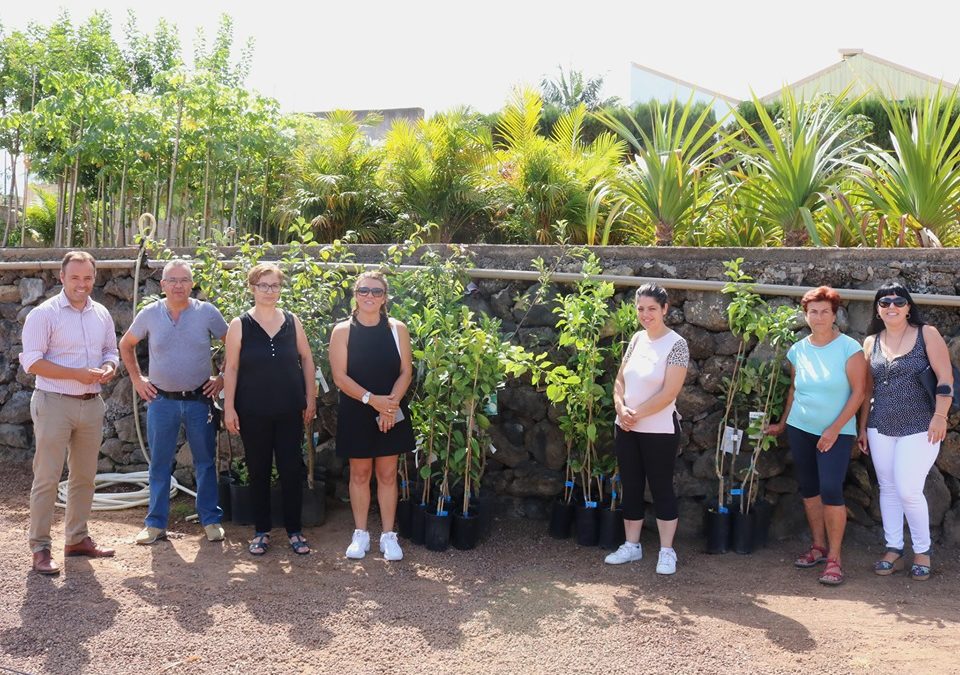 El Ayuntamiento entrega subvenciones en especies en forma de semillas y frutales a desempleados con terrenos