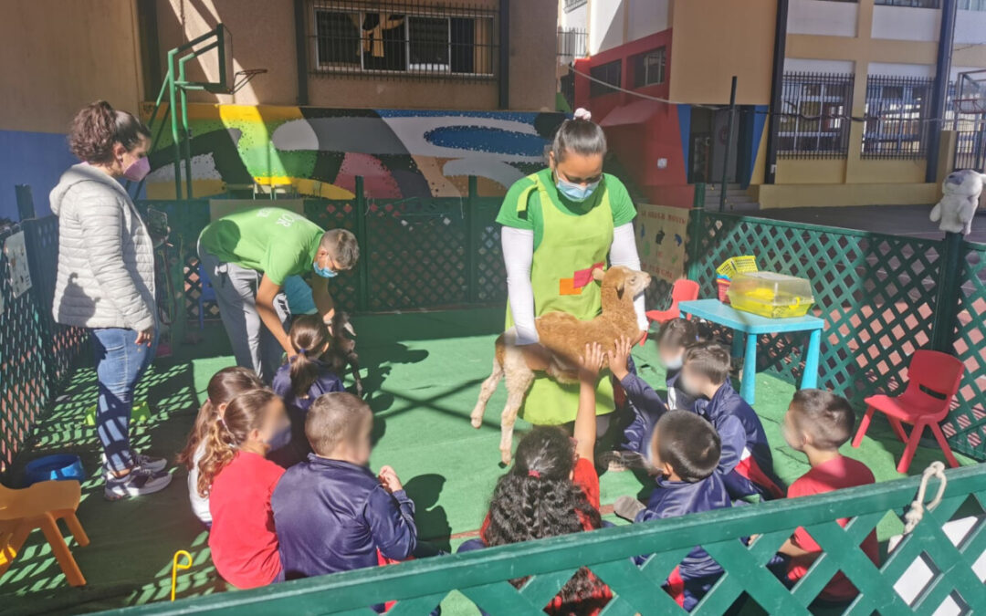 Una granja escuela itinerante visita los colegios realejeros a iniciativa de Educación y Desarrollo Rural