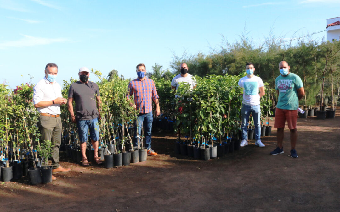 El Ayuntamiento entrega más de 250 árboles frutales para la siembra a personas en situación de desempleo