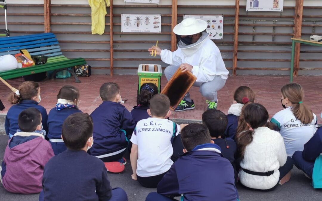 Escolares de Los Realejos se acercan a la apicultura a través de la visita de la ‘Colmena ambulante’ a sus colegios