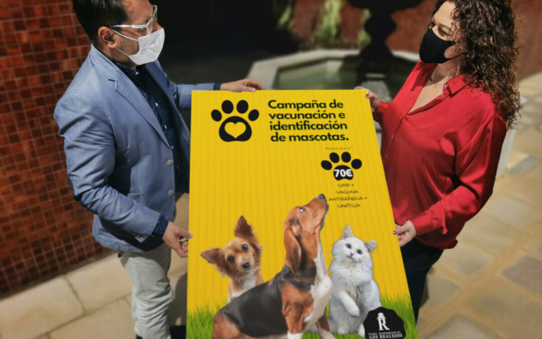 Los Realejos presenta una campaña de vacunación e identificación de mascotas con las veterinarias