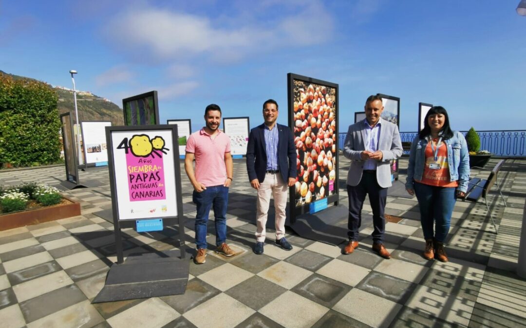 Los Realejos estrena muestra itinerante al aire libre como homenaje al cultivo ancestral de la papa en su 4º centenario