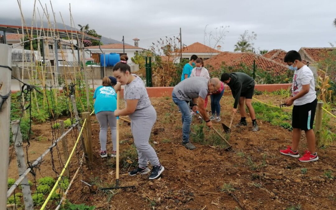 El Consejo Municipal de la Infancia aborda los valores de la agricultura en su propio huerto urbano