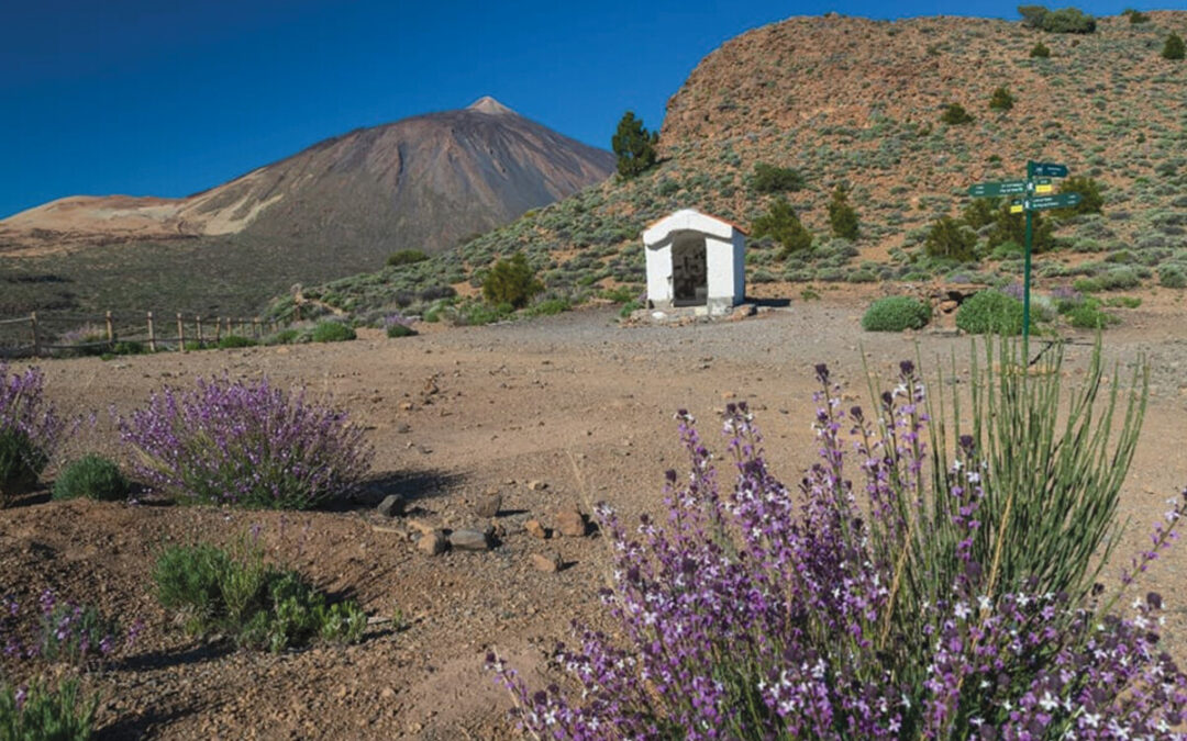 El alcalde de Los Realejos solicitará formalmente la paralización del Plan Rector de Uso y Gestión del Teide