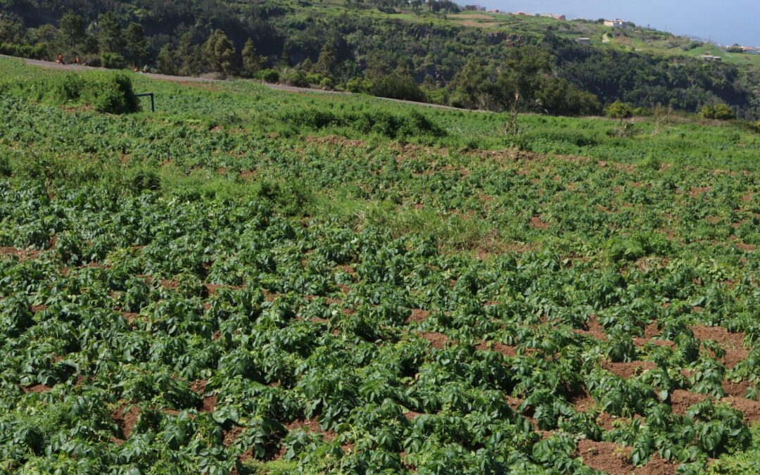 Campaña de desratización para la agricultura y la ganadería