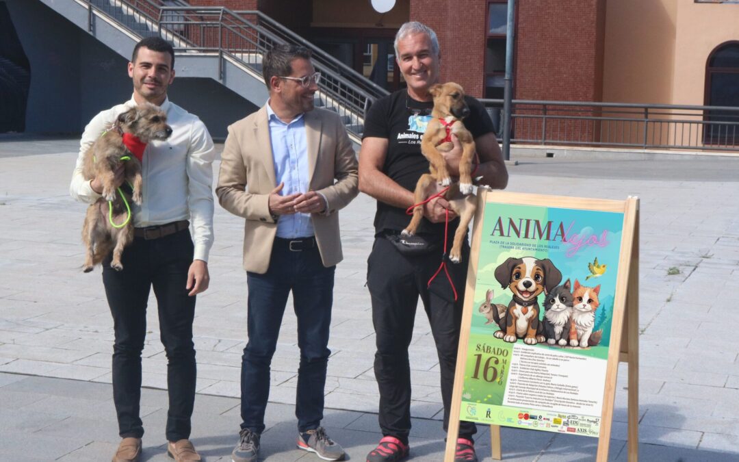 Este sábado 16, Feria de Bienestar Animal ‘Animalejos 2024’