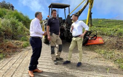 Limpieza y desbroce de 15,8 km de pistas y caminos rurales para la accesibilidad y prevención de incendios